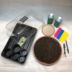 Dyrkningsst 6<br/>Kaktus / Sukkulent