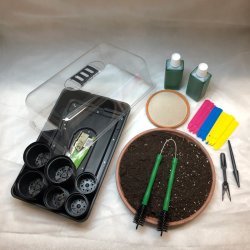 Dyrkningsst 9<br/>Kaktus / Sukkulent