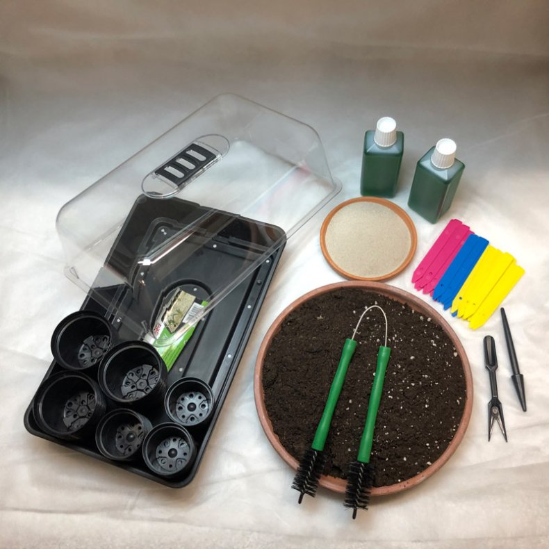 Dyrkningsst 9<br/>Kaktus / Sukkulent