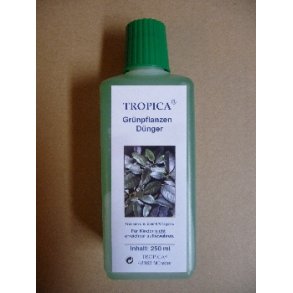 Gdning - grnne planter