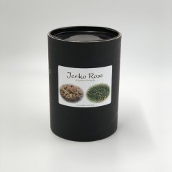 Jeriko Rose - 2 stk. <br/> Leveres i gaveske