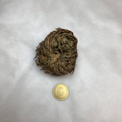 Nostalgi Jeriko Rose - 3 stk. - TRIO - i en brun gaveske