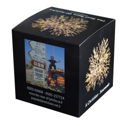 Rose of Jericho - 1 stk. XXL <br /> Leveres i gaveske