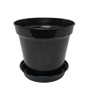 Carnivore potte og underskl -  10,0 cm 