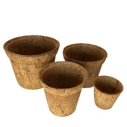 Potte - 5,5 cm Kokospotte