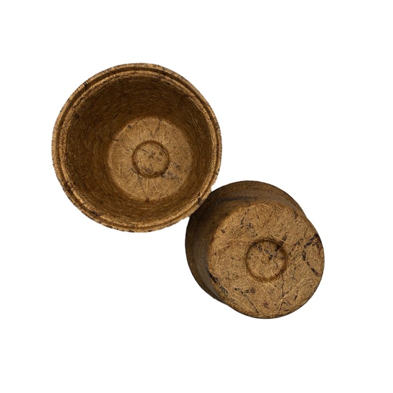 Potte - 5,5 cm Kokospotte