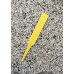 Carnivore-Dyrkningsst <br/> Venus Flueflde No. 2