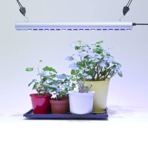 Vkstlysamatur - QUATTRO