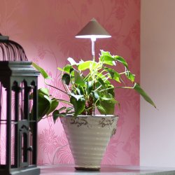 Sunlite - Antracit gr