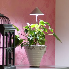 Sunlite - Antracit gr