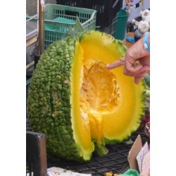 Grskar - Marina De Chioggia