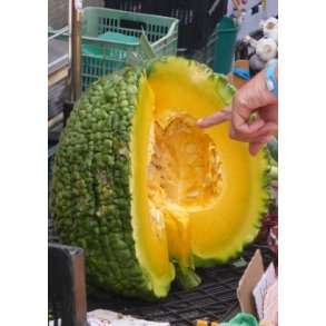 Grskar - Marina De Chioggia