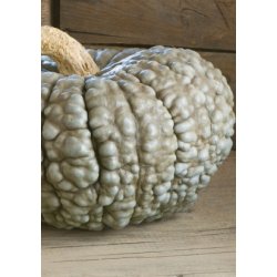 Grskar - Marina De Chioggia