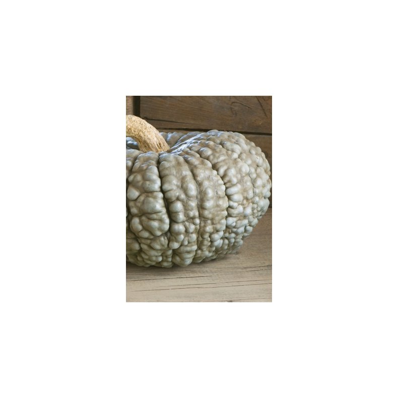 Grskar - Marina De Chioggia