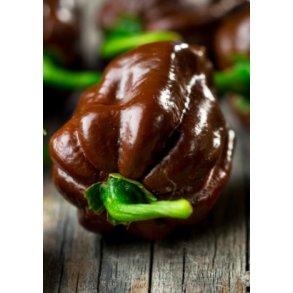 Chili - Habanero Chokolade